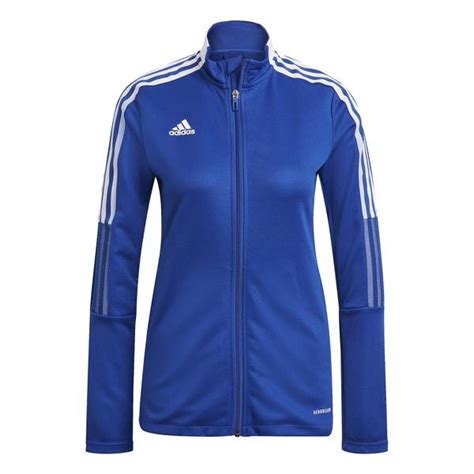 women's royal blue adidas jacket